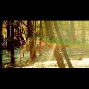 CHILDISH GAMBINO Camp 2LP