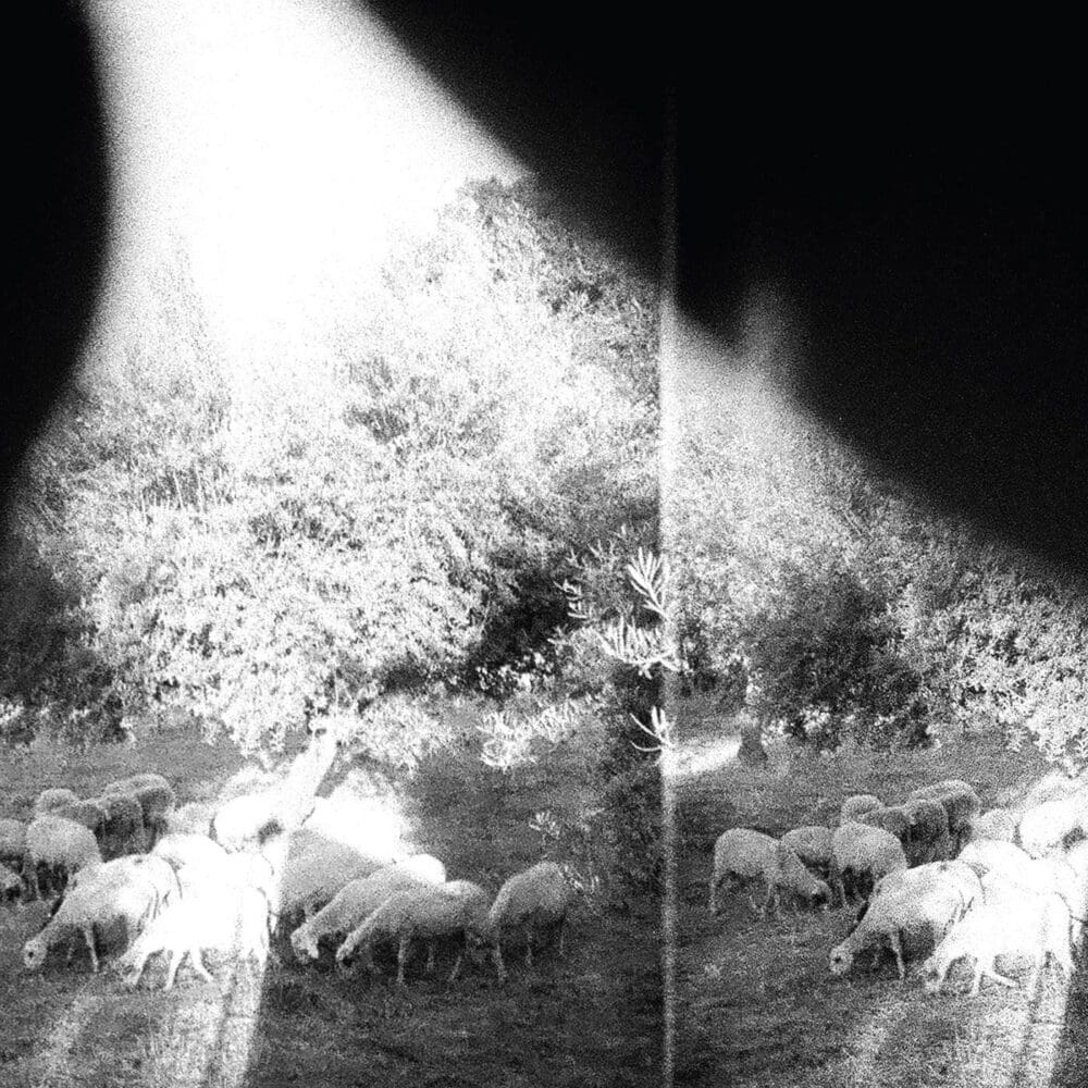 GODSPEED YOU BLACK EMPEROR Asunder Sweet And Other Distress
