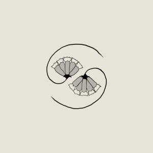 GODSPEED YOU! BLACK EMPEROR G_d's Pee at State's End (LP + 10")
