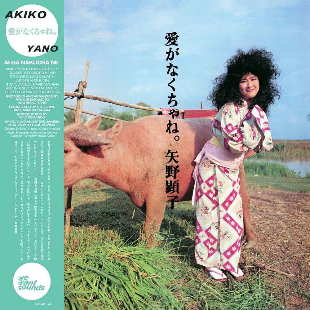 AKIKO YANO Ai Ga Nakucha Ne