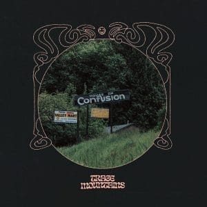 TRACE MOUNTAINS House Of Confusion