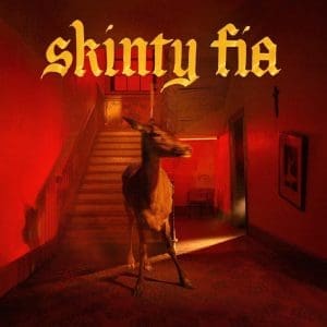 FONTAINES D.C. Skinty Fia