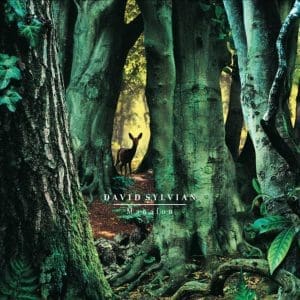 DAVID SYLVIAN Manafon 2LP