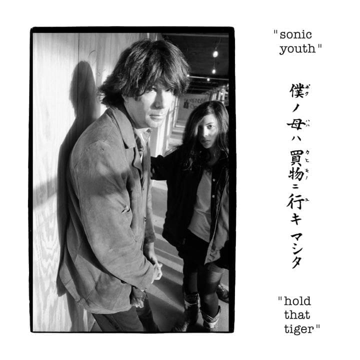 SONIC YOUTH Hold That Tiger 2LP