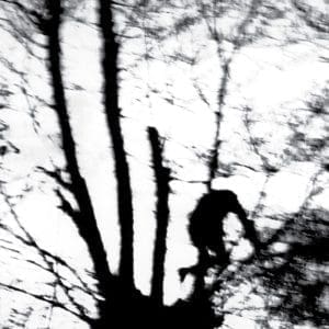 CINDYTALK Camouflage Heart (indies, transparent)