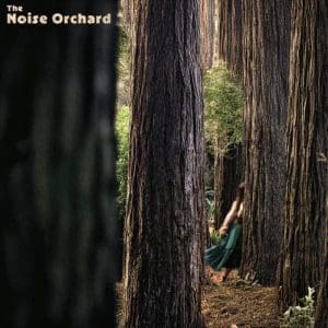 THE NOISE ORCHARD The Noise Orchard