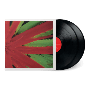JEJUNE This Afternoons Malady 2LP