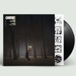 GEESE Projector