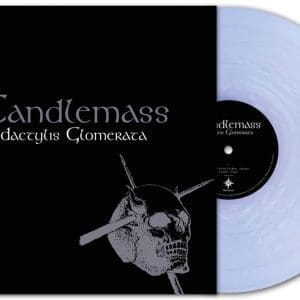 CANDLEMASS Dactylis Glomerata (Pearl Arctic)