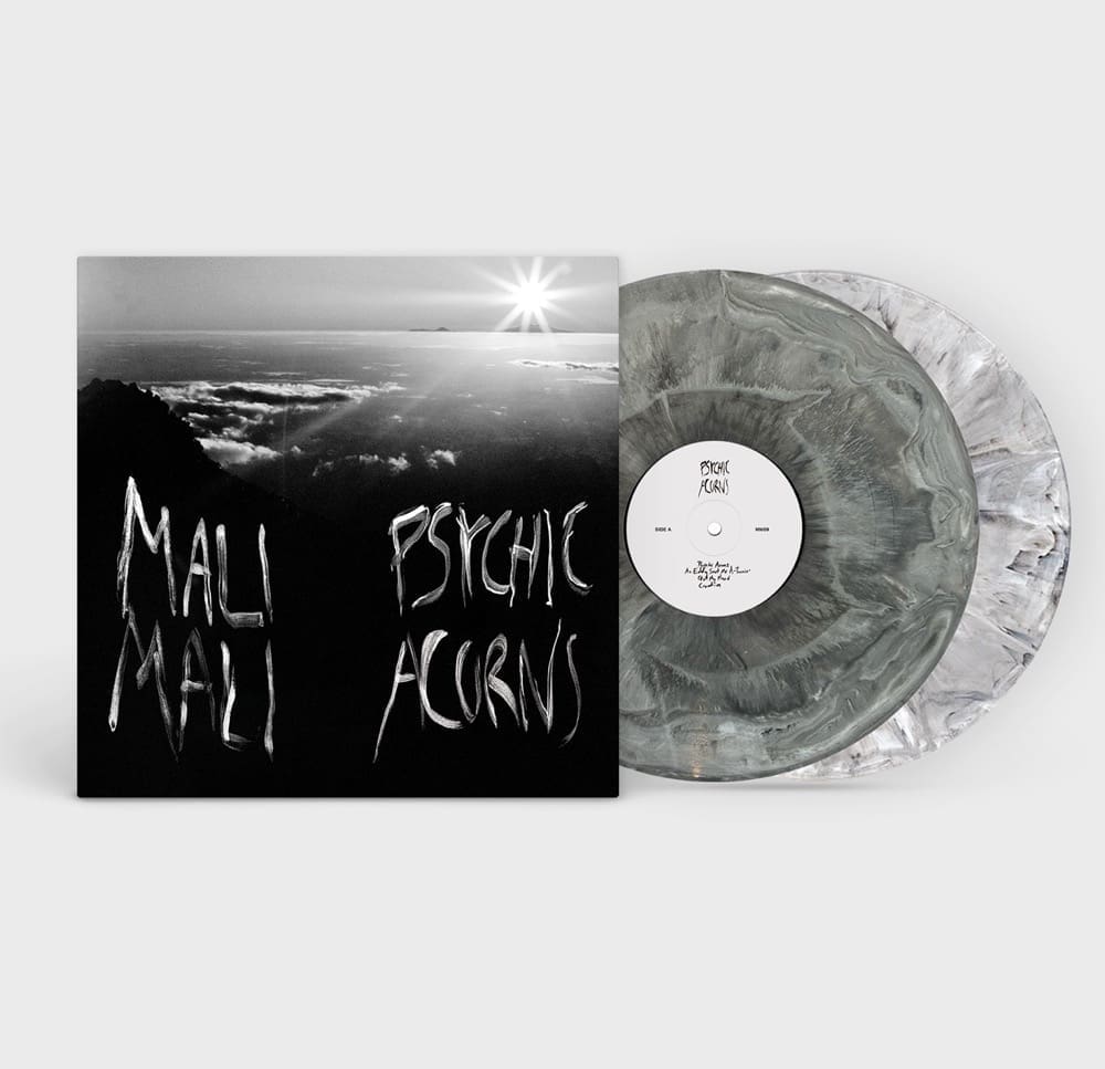 MALI MALI Psychic Acorns (Limited Edition Black & White Marble) 2LP preorder