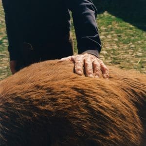 MATT CARMICHAEL Held in the Dark CD