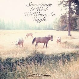 BILL CALLAHAN  Sometimes I Wish We Were An Eagle