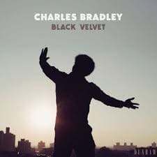 CHARLES BRADLEY Black Velvet