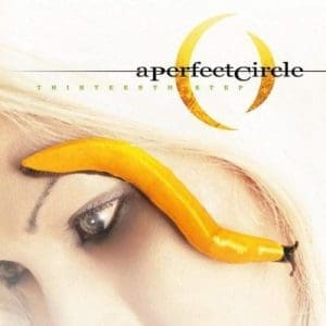 A PERFECT CIRCLE Thirteenth Step 2LP