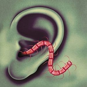 THE OH SEES An Odd Entrances