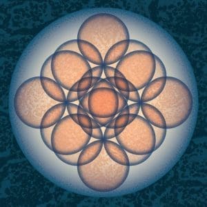 EMBRYO Auf Auf