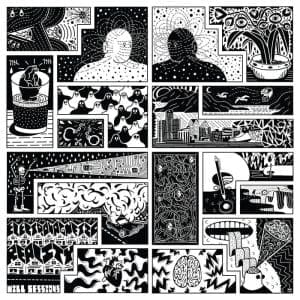 WILL SESSIONS Electromagnetic Reality