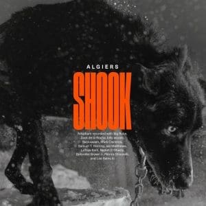 ALGIERS Shook 2LP