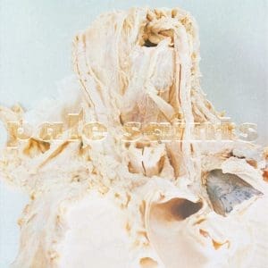 PALE SAINTS In Ribbons