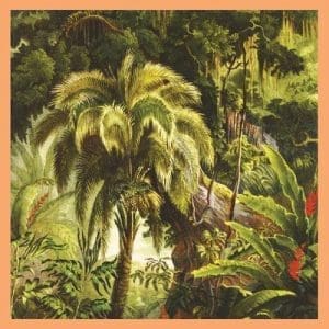 XIU XIU La Foret (SUNSET SWIRL VINYL)