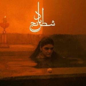MOHAMMAD REZA ASLANI & SHEYDA GHARACHEDAGHI Chess of the Wind