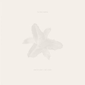 THE DEAD TONGUES Body of Light / I Am A Cloud 2LP