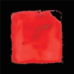SALVIA PALTH Last Chance To See CD