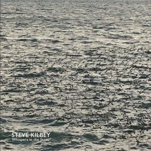 STEVE KILBEY Whispers In The Static LP+CD