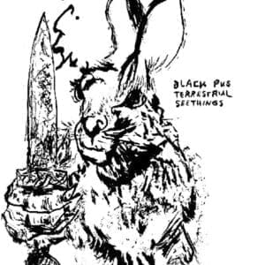 BLACK PUS Terrestrial Seethings