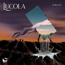 LUCOLA Waikanae