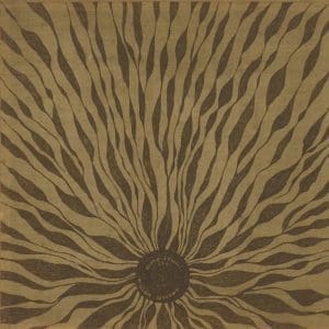 WILLEM NYLAND Piano Studies 337
