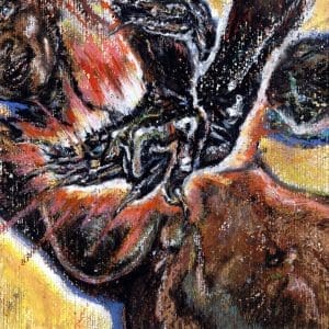 SHUNGU Faith In The Unknown CD