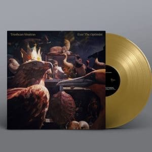 TRASHCAN SINATRAS Ever The Optimist (Numbered Goldfinch Gold)